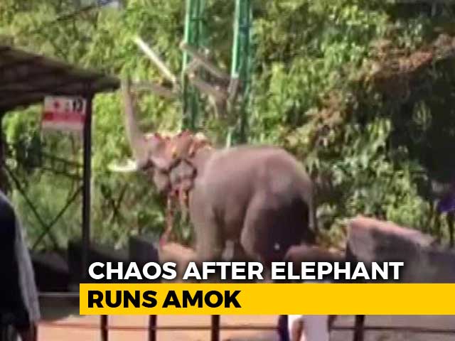 Video : 12 Injured At Kerala's Sabarimala Temple After Elephant Carrying Priest Atop Runs Amok