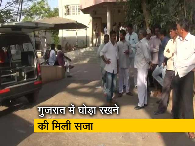 घोड़ा रखने की वजह से गांव के दबंगों ने की दलित युवक की हत्या