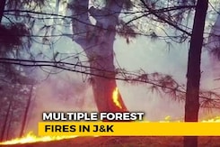 Massive Forest Fires In 4 Districts Of Jammu And Kashmir Massive Forest Fires In 4 Districts Of Jammu And Kashmir