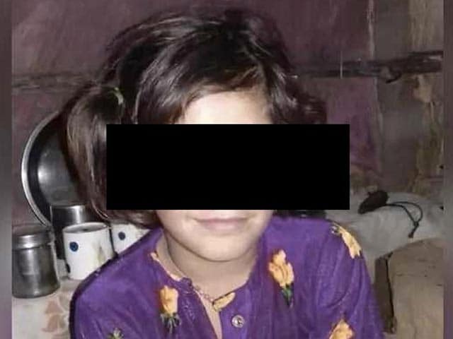 Video : "Far Away From Truth": Police Deny Claims That Kathua Girl Wasn't Raped