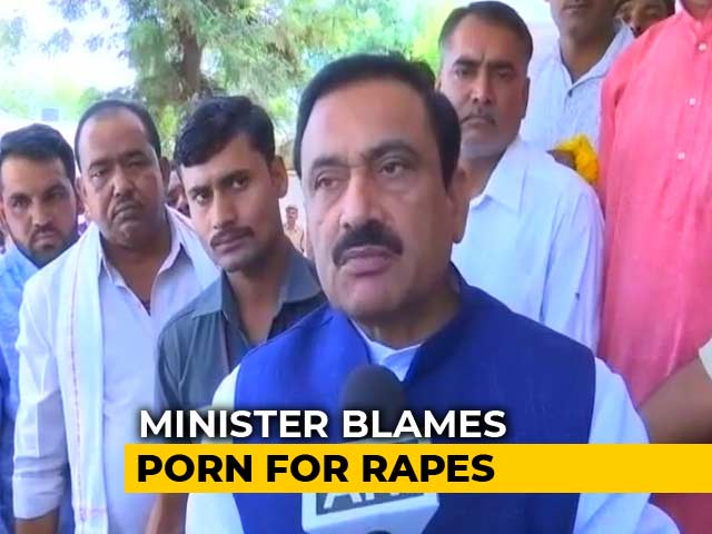 Video : Ban Porn To Stop Rapes, Says Minister In Madhya Pradesh Government
