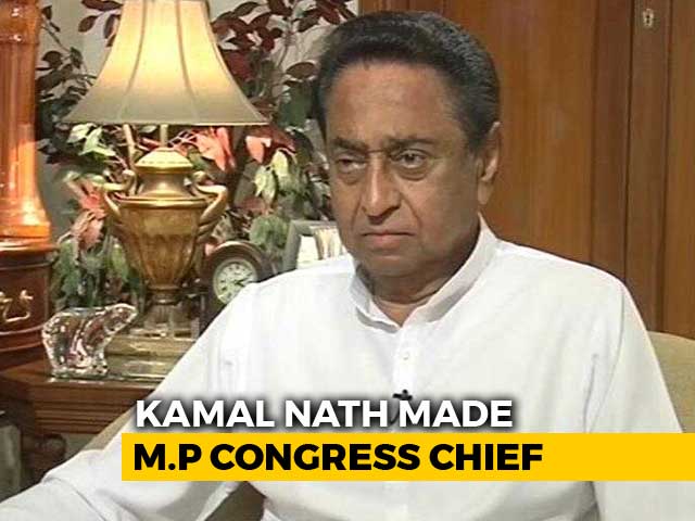 Kamal Nath On Why He Was Picked To Lead Congress In Madhya Pradesh
