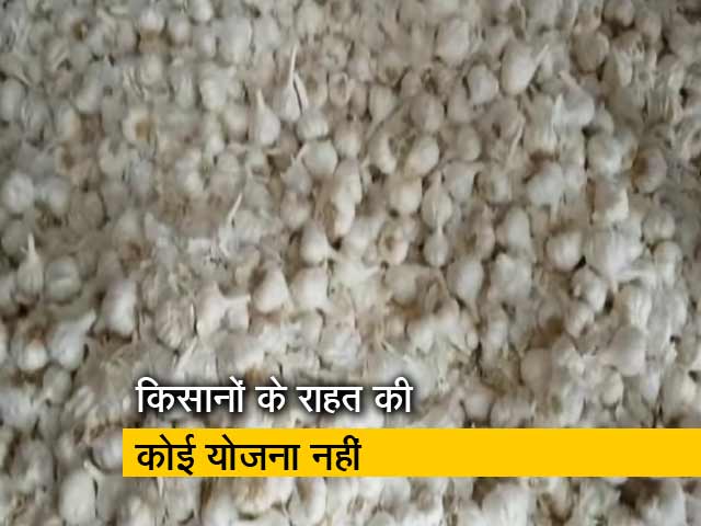 मध्यप्रदेश : भावांतर योजना से लहसुन के रेट गिरे