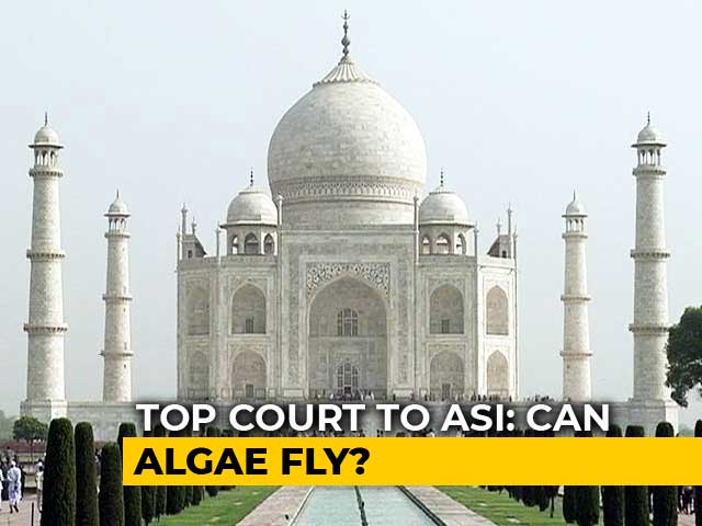 Video : "Can Algae Fly?" Asks Supreme Court, Upset Over Taj Mahal Changing Colour