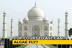 "Can Algae Fly?" Asks Supreme Court, Upset Over Taj Mahal Changing Colour "Can Algae Fly?" Asks Supreme Court, Upset Over Taj Mahal Changing Colour