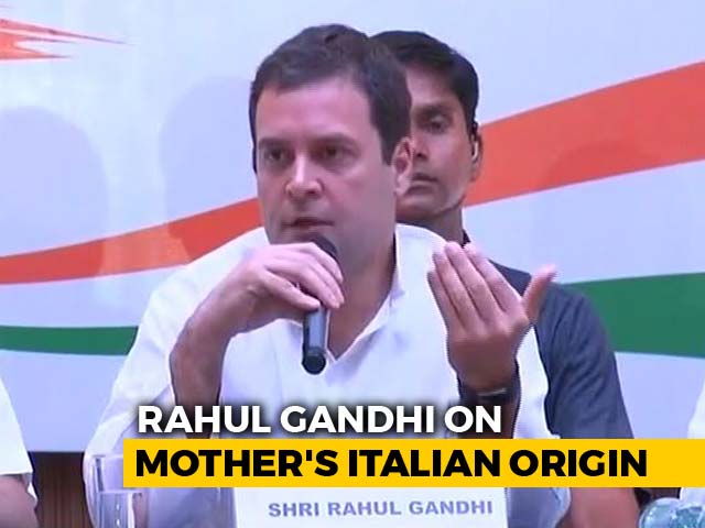 "My Mother More Indian Than Many," Says Rahul Gandhi On PM's Dig