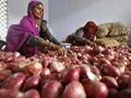 Video : Onion prices still making people cry