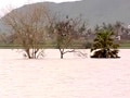Video : Odisha floods: three times more rain in cyclone Phailin-hit Ganjam