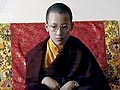 The World This Week: Karmapa vs Karmapa (Aired: March 1994)