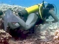 Video: Underwater - The Hidden Truth: India's coral treasures (Aired: June 2008)