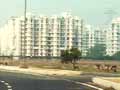 Video : Excellent sub Rs 50 lakh property options across India