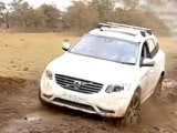 Video: Off-Roading in the Wild!