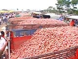 Watch: Truth vs Hype: Cartels, Politics and False Alarms - The Anatomy of Onion Pricing