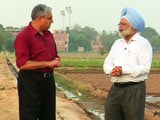 Video : 'Drought to Have No Impact on Crop Yields in Punjab'