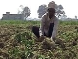 Videos : सरकार पर भारी किसान लॉबी?