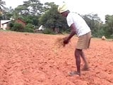 Video : For Karnataka's Drought-Hit Farmers, an Endless Wait for 'Assistance'