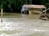 Video : सुपौल में 100 गांव बाढ़ की चपेट में