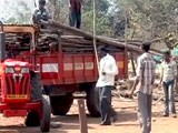 Video : बाघ बचाओ : जामनी गांव का पुनर्वास
