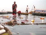 Video: <i>Maa</i> Ganga: Killing Her Softly - Devotion and Desecration