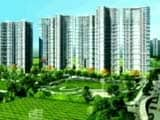 Video : Top Projects in Sector 133, Noida Within Rs 75 Lakhs