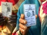 Video : Gujarat is First State to Make Voting a Must in Local Body Polls