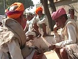 Video : BJP Emerges on Top in Landmark Panchayat Polls in Rajasthan