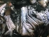 Videos : यूपी : दसवीं बोर्ड की 30 हज़ार कॉपियां जलकर हुईं खाक़