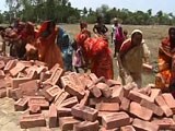 Video : In Bengal's Sundarbans, a Road Built With Voluntary Labour