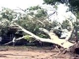 Video : कोसी में तूफान का कहर : 32 की मौत, घर टूटे, फसलें बर्बाद