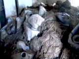 Videos : रायसेन में स्वच्छता अभियान की हकीकत, कागजों पर बने हैं 4,000 टॉयलेट