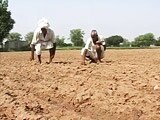 Video : Weakening Monsoon Could Lead to Drier Spells in India, Says a New Study