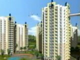 Video : Great Value for Money 2 BHK Options in Faridabad