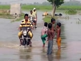 Video : भाखड़ा डैम से छोड़ा गया पानी, मोगा के कई गांवों में पानी घुसा