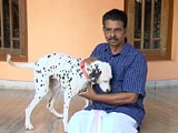 Video : Want to Own a Dog? You Need a Licence in This Kerala Town
