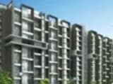 Video : Excellent Properties in Trivandrum's Technopark