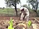 Videos : 15 राज्यों में सूखे के आसार, मध्य प्रदेश में बेहाल किसान