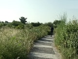 Video : Citizens' Voice: How Gurgaon Residents Turned a Mining Site into a Bio-diversity Park?