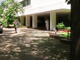 Video : In Mumbai, Celebrity Bungalows Turn Mosquito Dens