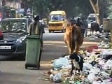 Video : Citizen Voice: Garbage Stink Reaches Bengaluru Schools