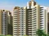 Video : Well Priced Properties in Noida Within Rs 80 Lakh