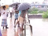 Video : Chennai's Saidapet Bridge Shut as Water Level Rises