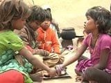 Video : In Drought-Hit Uttar Pradesh, The Poor Are Eating Rotis Made Of Grass