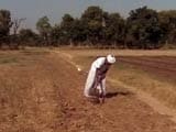 Video : विशेष पैकेज से नाख़ुश कपास किसान गुजरात सरकार से नाराज़