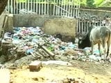 Video : A Special Report on India's Swachh Index