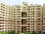 Video : Find Your Perfect Home in NCR, Rajasthan and Lucknow