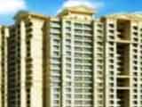 Video : Ideal Property Deals in Mulund, Mumbai