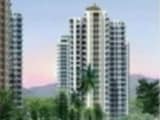 Video : Finest Property Options in Noida