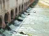 Video : Citizens' Voice: Bengaluru Lakes Become Sewage Dumps