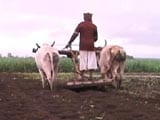How Health Reforms Can Save Indian Farmers