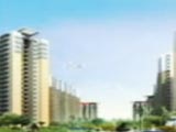 Video : Buy Homes For Less Than Rs 30 Lakhs in Noida
